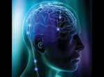 IO - Brain Pic