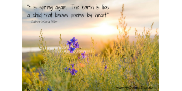 spring_quote_pixabay-pic_wpsize-1